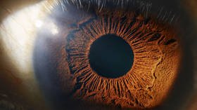 ‘Impossible’ breakthrough sees scientists successfully regrow optic nerve cells