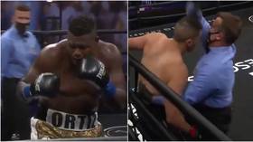 'WTF did he hit him with?': Fans stunned as heavyweight slugger Luis Ortiz returns with 45-SECOND knockout (VIDEO)