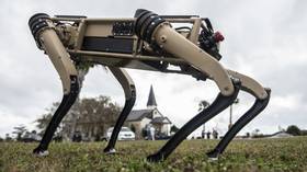 What could go wrong?! US Air Force adds ‘semi-autonomous’ robot dogs to patrols on Florida base (VIDEO)