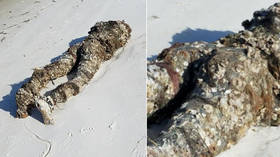 ‘Dead giveaway’: Creepy find on Florida beach sparks emergency response