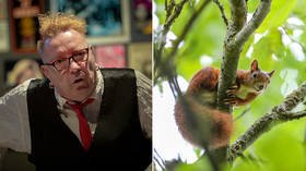 Sex Pistols rocker Johnny Rotten BITTEN ON PENIS by fleas after rescuing squirrels