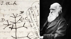 Priceless Charles Darwin notebooks reported stolen from Cambridge library – 20 years after going missing