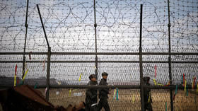 North Korean gymnast LEAPS OVER three-meter barbed wire fence to escape to the South – reports
