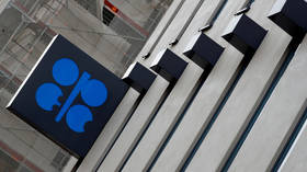 OPEC+ likely to prolong existing oil cuts despite rising prices – media