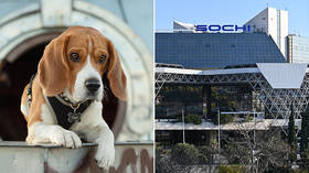 Sochi Airport forced to apologize after staff were recorded ‘provoking’ and ‘teasing’ Instagram-famous dog