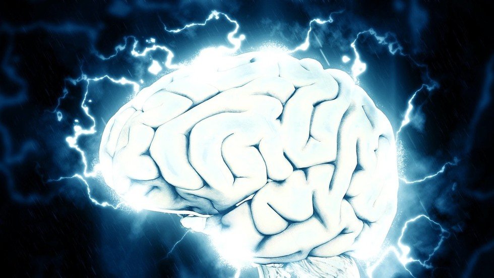Brain apps. Мозги психически больных. brain. first time cervello. how the brain lost its mind.