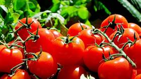 Russia bans imports of tomatoes & apples from Azerbaijan