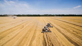 Russia on track to have one of its largest-ever grain harvests