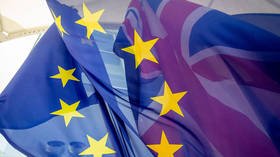 ‘It’s not over yet’: German envoy says still a chance EU & UK can agree on Brexit trade deal by end of week