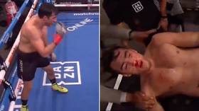 'Play stupid games, win stupid prizes!' Mexican boxer taunts opponent, gets knocked out of the ring (VIDEO)