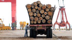 ‘Pests in cargoes’: China suspends timber imports from 2 more Australian states