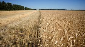 Sales of Russian grain surge despite strict export limits due to pandemic crisis