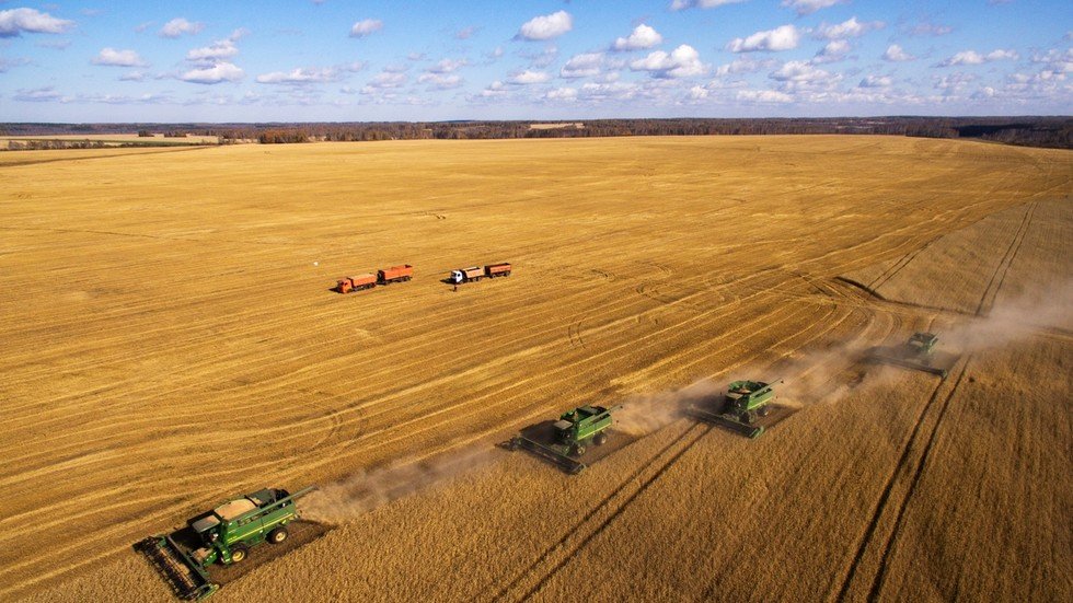 Russia keeps global grain supplies high despite Covid crisis — RT ...