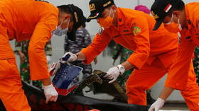 Indonesian divers find plane parts belonging to Boeing jet that plunged into Java Sea (VIDEO)