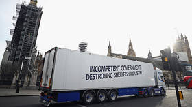 Scottish shellfish lorry drivers stage Brexit protest outside Downing Street (VIDEO, PHOTOS)