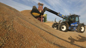 Sales of Russian wheat keep surging amid gloomy export forecasts