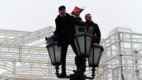 Apparent Anti-Navalny protestor pulled down from Moscow lamppost during rally for holding sign objecting to activist (VIDEO)