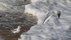 WATCH: Massive blob of sea foam engulfs Irish town