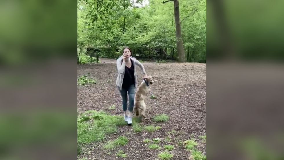 Charges dropped against Amy Cooper, aka 'Central Park Karen', after she