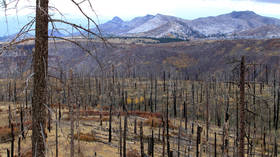 Los Alamos lab, birthplace of the atomic bomb, STILL under threat from wildfires despite repeated major incidents