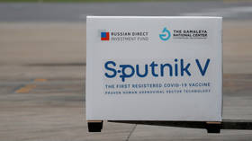 Hungary begins rollout of Russian Sputnik V vaccine in defiance of EU regulators