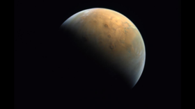 UAE releases first image of Mars shot by its weather orbiter Amal (PHOTO) 