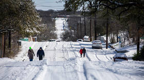 Texas deploys National Guard as massive blizzard leaves 4.3mn without power in below-freezing temps