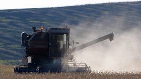 Russian agricultural exports boom as Covid-19 pandemic and freak weather ruin crop harvests for American and European farmers