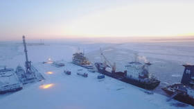 Russia inks long-term deal to supply China with liquefied natural gas from Arctic