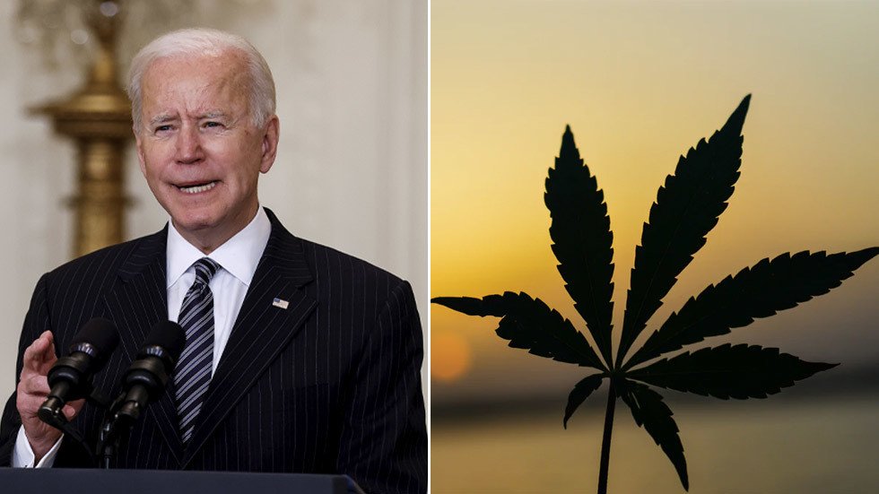 Biden Administration Staffers Asked To RESIGN Over Past Marijuana Use ...