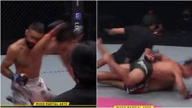 ‘He was about to leave a dead body’: Fans hail referee’s intervention after MMA fighter lands CRAZY standing elbow KO (VIDEO)