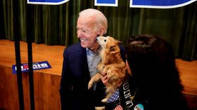 Joe HIDDEN: POTUS avoids even the friendly media as Americans get cat, dog and portrait distractions instead