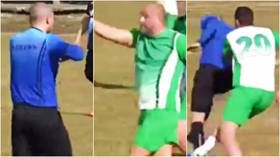 ‘Ban them’: Fans call for SUSPENSIONS after players attack referee and chase him off in abandoned Bulgarian football match (VIDEO)