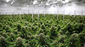 New York lawmakers reach agreement on legalization of recreational marijuana