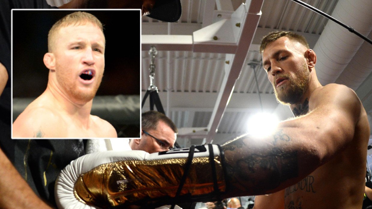 conor mcgregor fast gloves