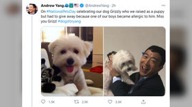 ‘Could have said nothing’: Andrew Yang scorned after he tries to jump on #NationalPetsDay trend with pic of dog he ‘gave away’