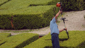 Sssh, the hedge might get upset! National Trust caves in to woke mob by forcing its volunteer gardeners to do diversity training