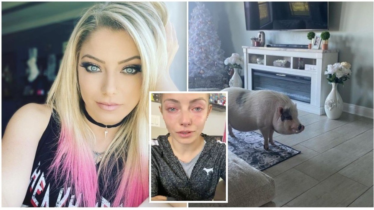 Your life mattered': WWE star Alexa Bliss distraught as pet pig dies, accuses vets of refusing to treat him — RT Sport News