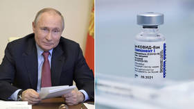 ‘Simple and reliable as Kalashnikov assault rifle’: Putin speaks about Russia’s Covid-19 vaccines