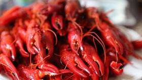 New Orleans offers free CRAWFISH to people who get first shot of Covid-19 vaccine