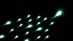 Panic over declining global sperm counts blown out of proportion, says new Harvard study