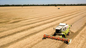 Russian farmers about to reap bumper grain harvest – USDA
