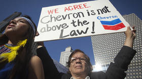 ‘Once a corporation is involved, justice goes out the window’: Sarandon, Williamson rip into Chevron’s hounding of lawyer Donziger