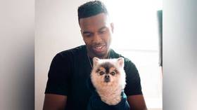 In the doghouse: Ex-Liverpool star Sturridge ‘sued by alleged finder of missing dog after not paying $37K reward’