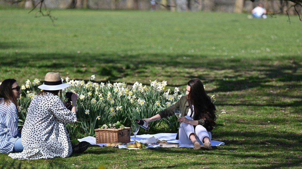 By banning words like ‘picnic’ & ‘trigger warning’, language police are