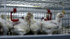 World’s 1st case of human infection with H10N3 bird flu recorded in China