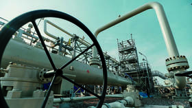 Russia’s Nord Stream 2 gas pipeline serves Austria’s economic interests – Chancellor Kurz