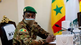 World Bank suspends payments to Mali in bid to put pressure on military junta after latest coup