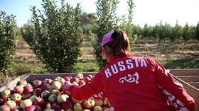 Russia’s agricultural exports could top $30 BILLION this year