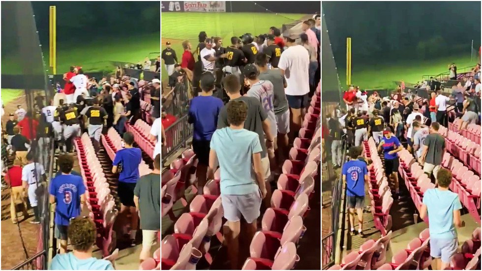 Strike! Baseball team storm the stands to confront fans after being ...